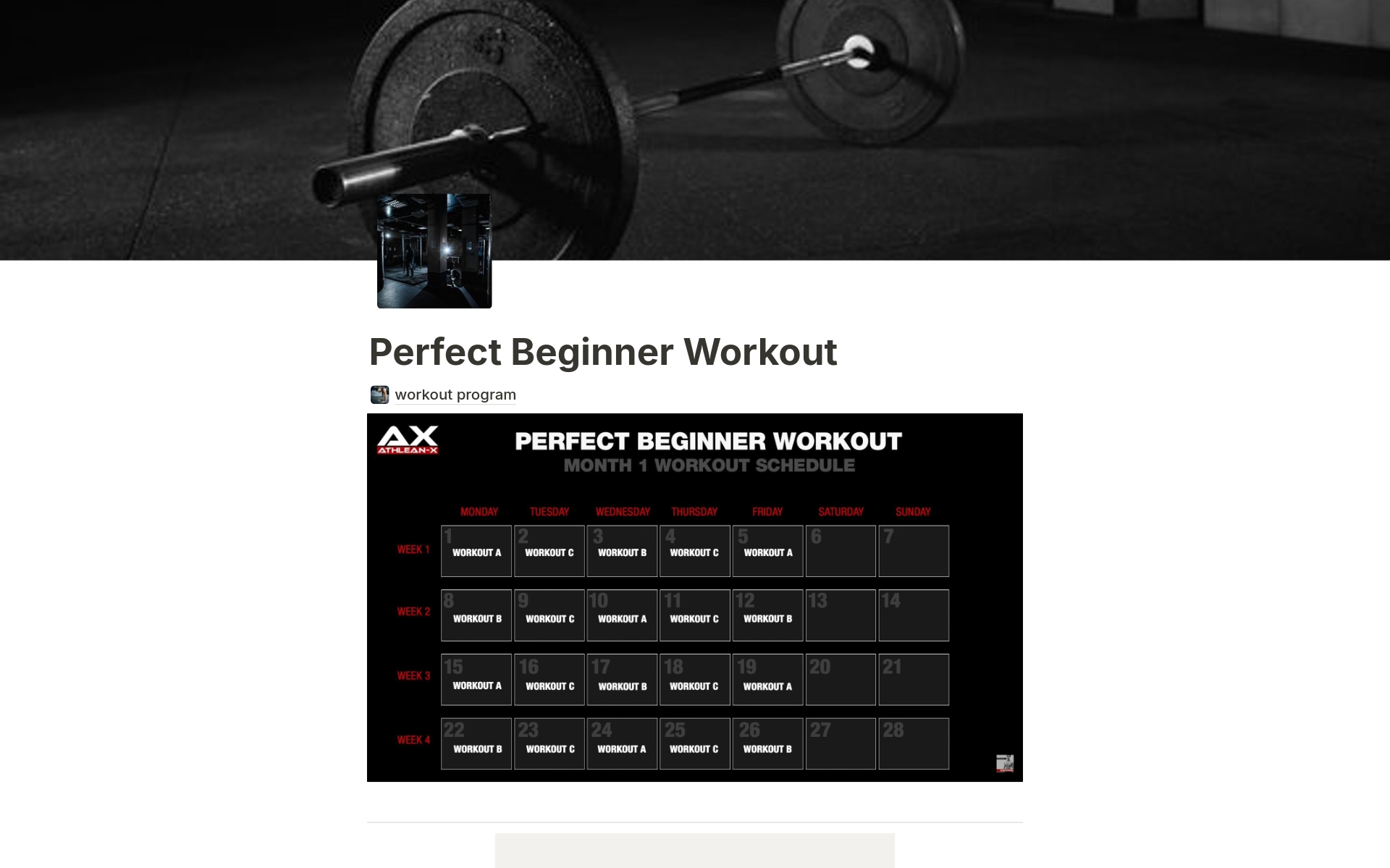 A template preview for Perfect Beginner Workout