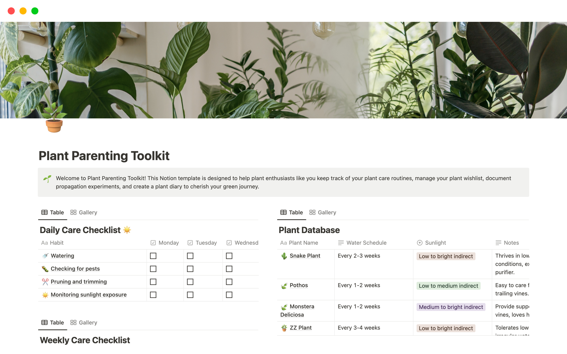 Cultivate your green paradise with the ultimate Plant Parent's Notion Template featuring checklists, plant database, wishlist, propagation experiments, and a delightful plant journal! 🌿💚