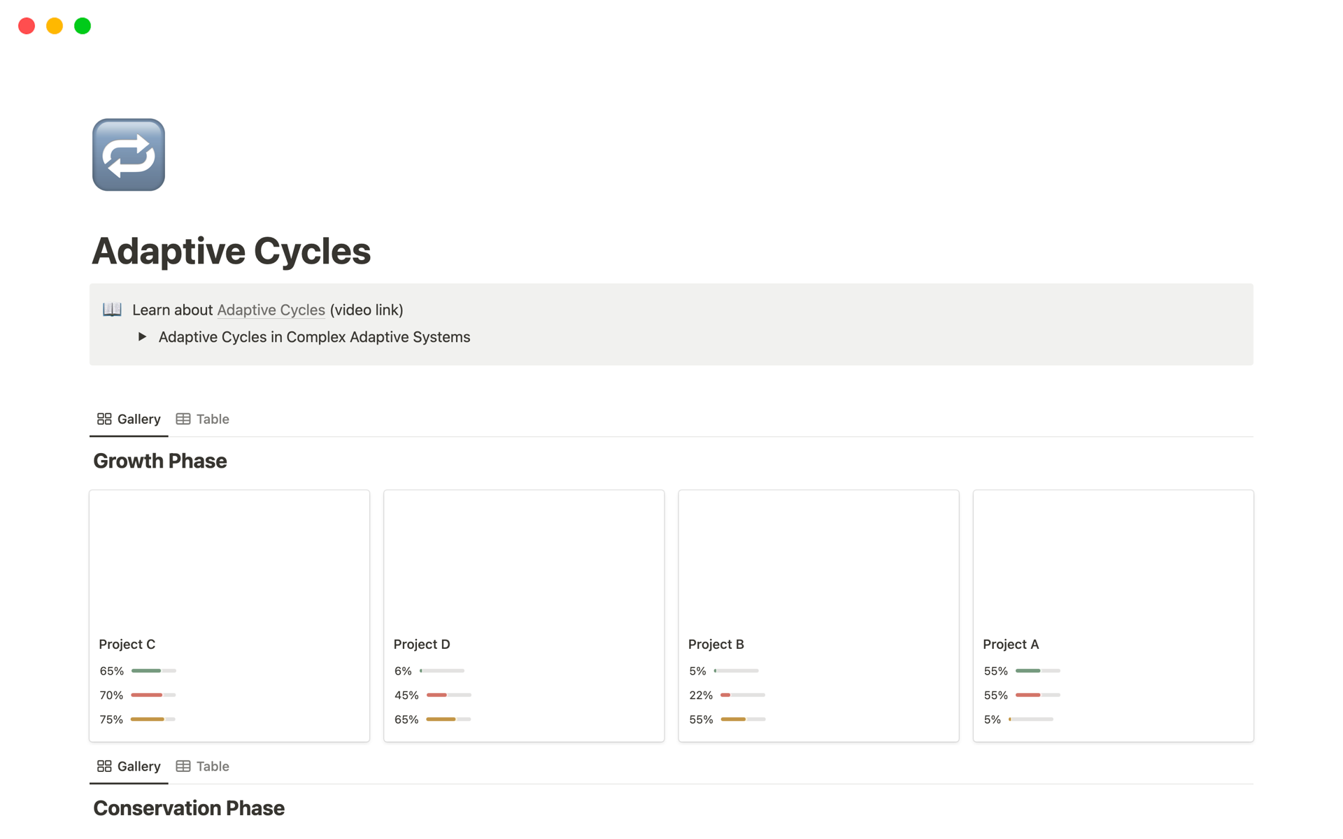 Use the concept of adaptive cycles to manage your projects in Notion. 
