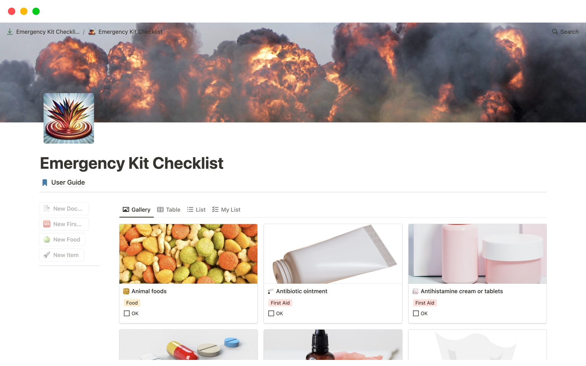 En forhåndsvisning av mal for Emergency Kit Checklist
