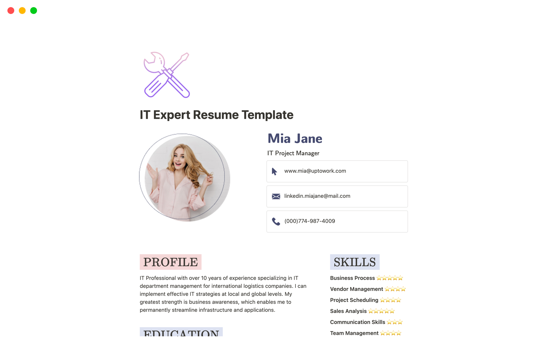 En forhåndsvisning av mal for IT Expert Resume