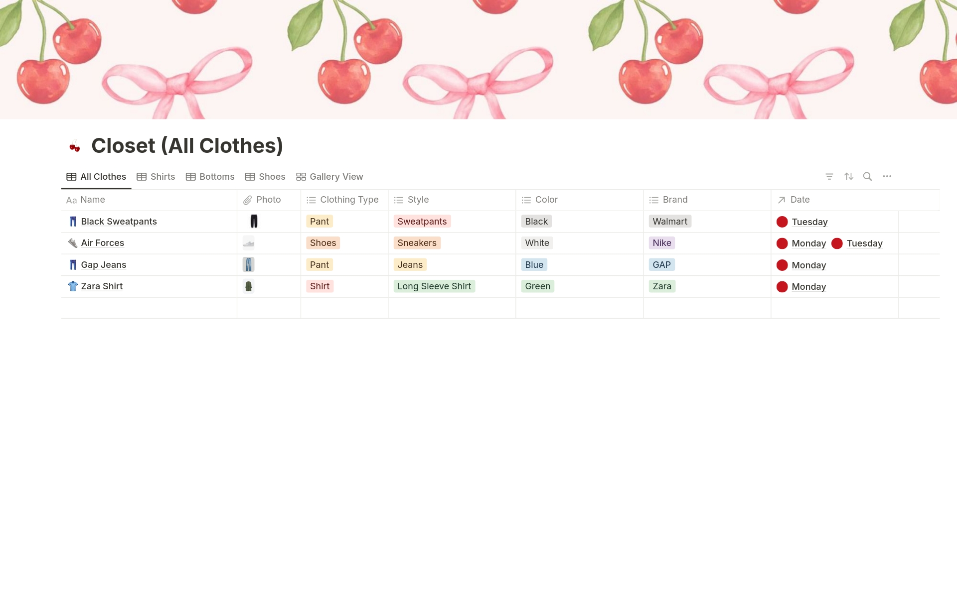 This template is a great way for you to log all your clothing items, create weekly outfits, and add items to a personal wishlist.