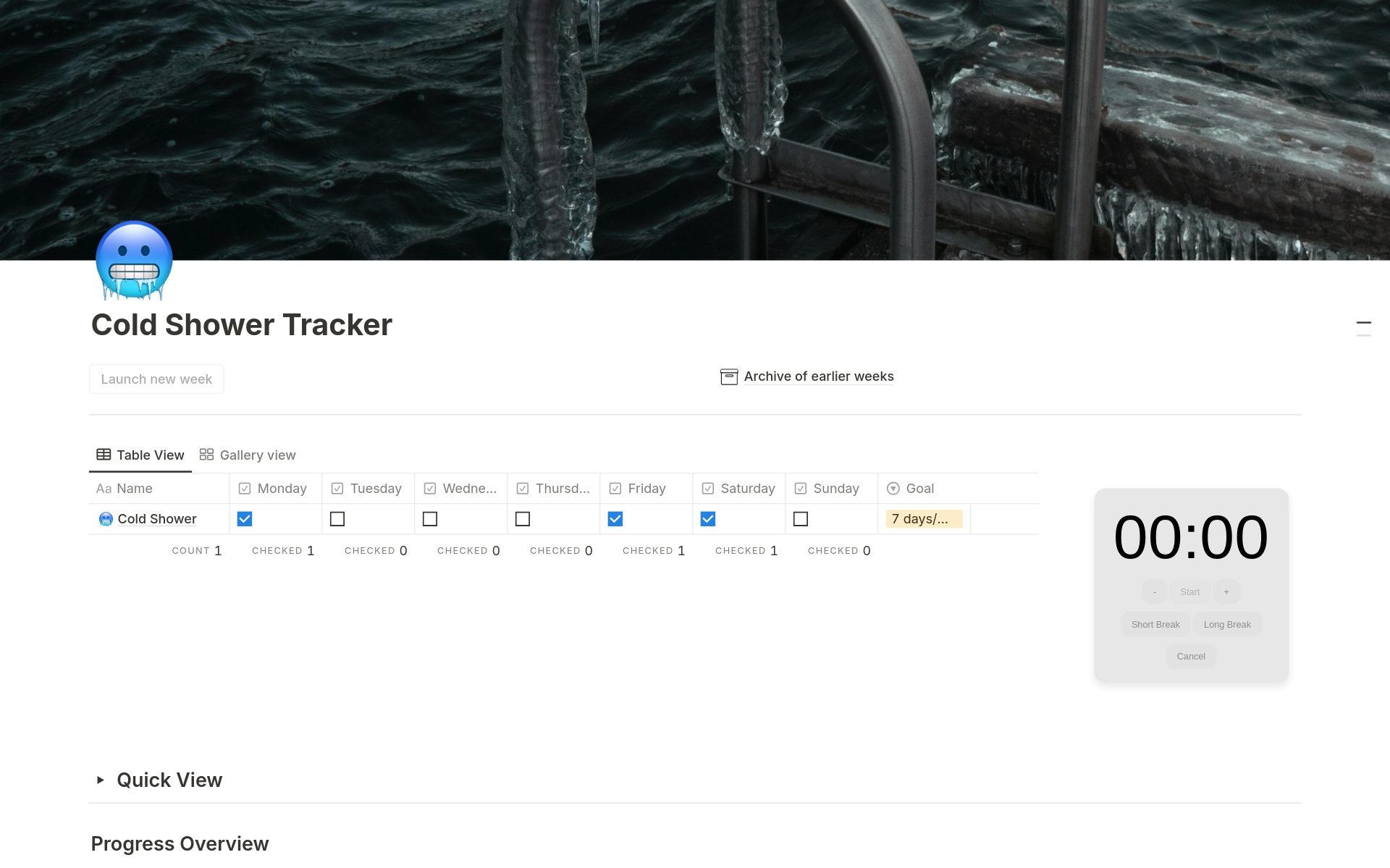 A template preview for Cold Shower Tracker