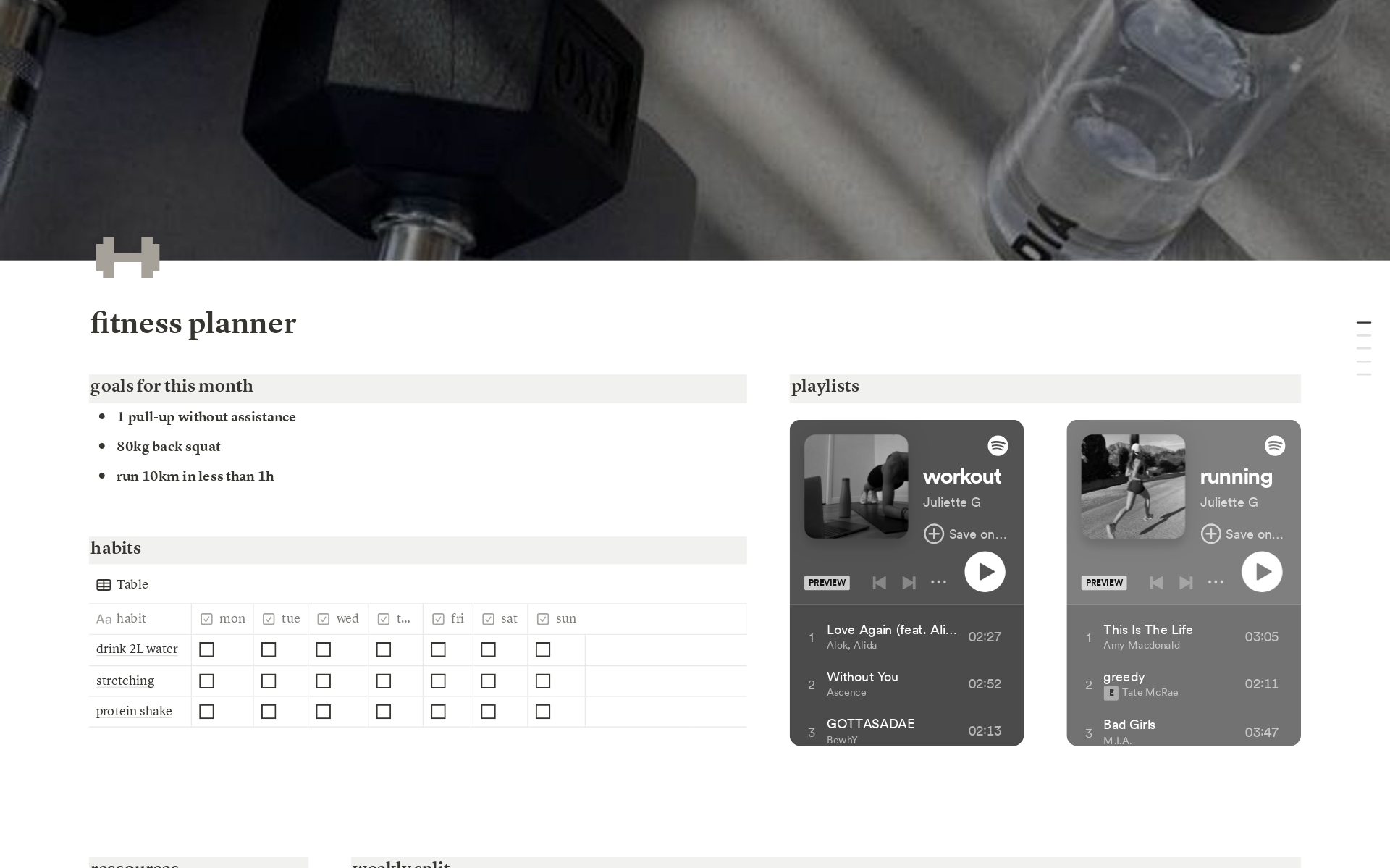 A template preview for Fitness planner