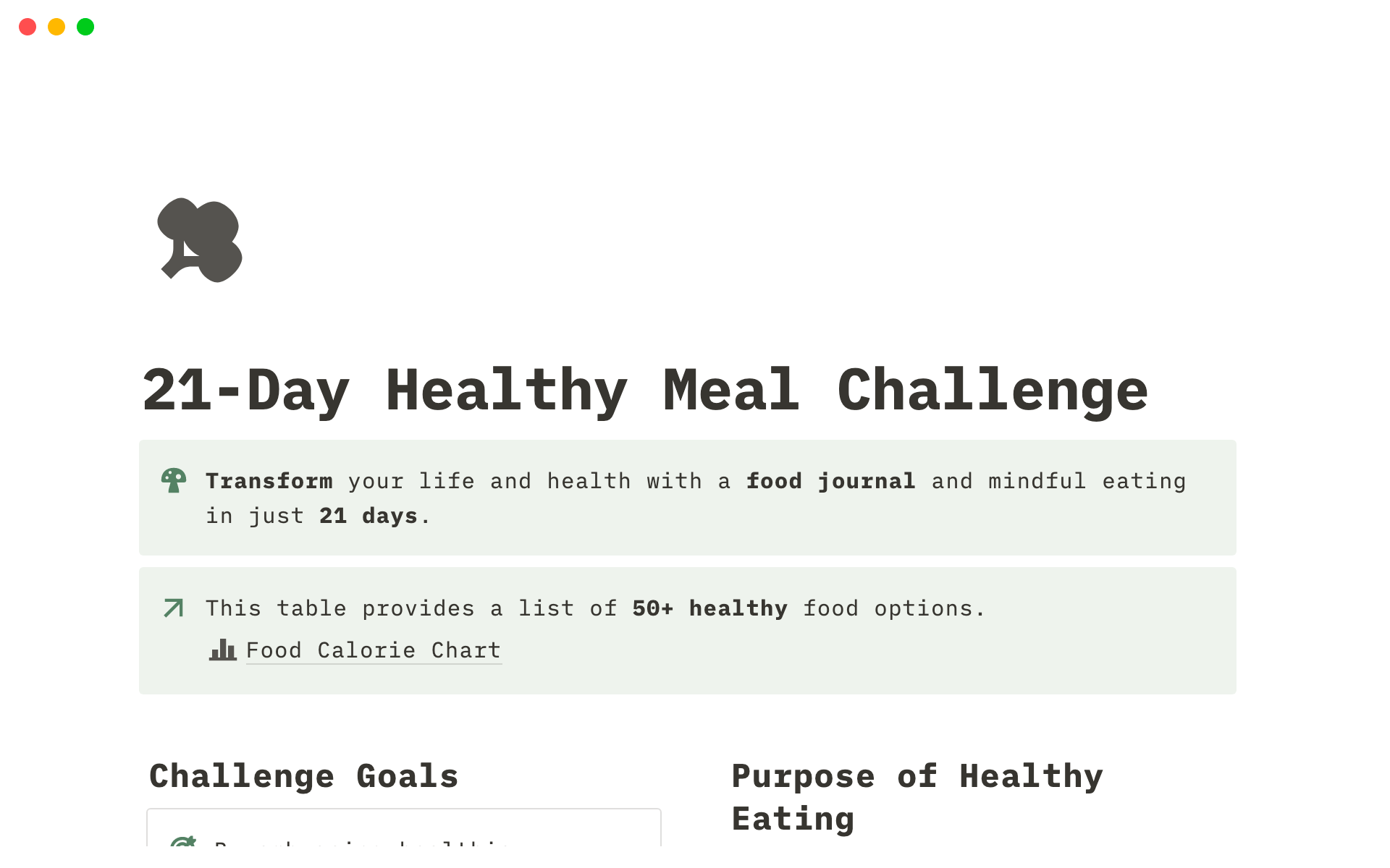En förhandsgranskning av mallen för 21 Day Healthy Meal Challenge