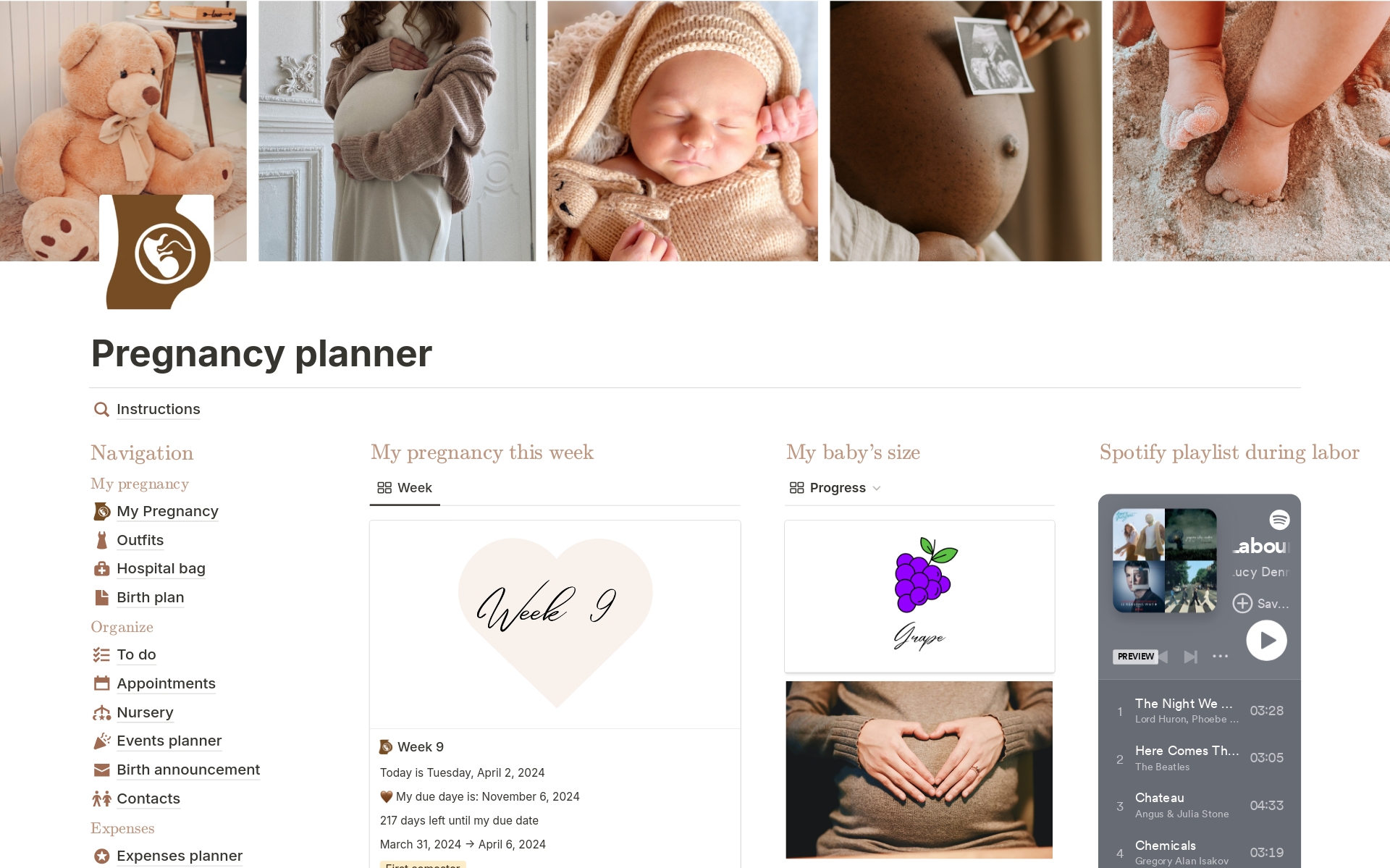 Pregnancy planner notion template, digital pregnancy journal & nursery, maternity outfit, baby registry, hospital bag, birth planning,