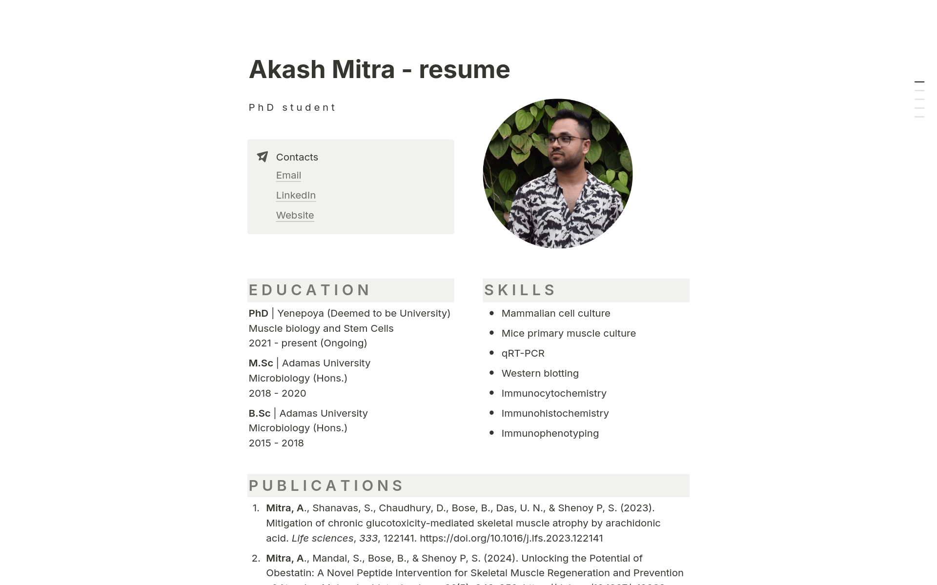 A template preview for Academic CV
