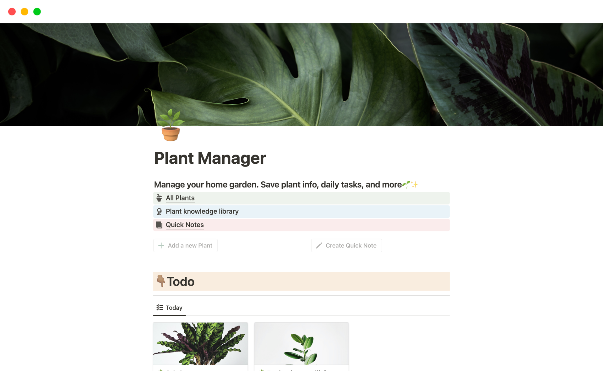 A template preview for Plant Manager