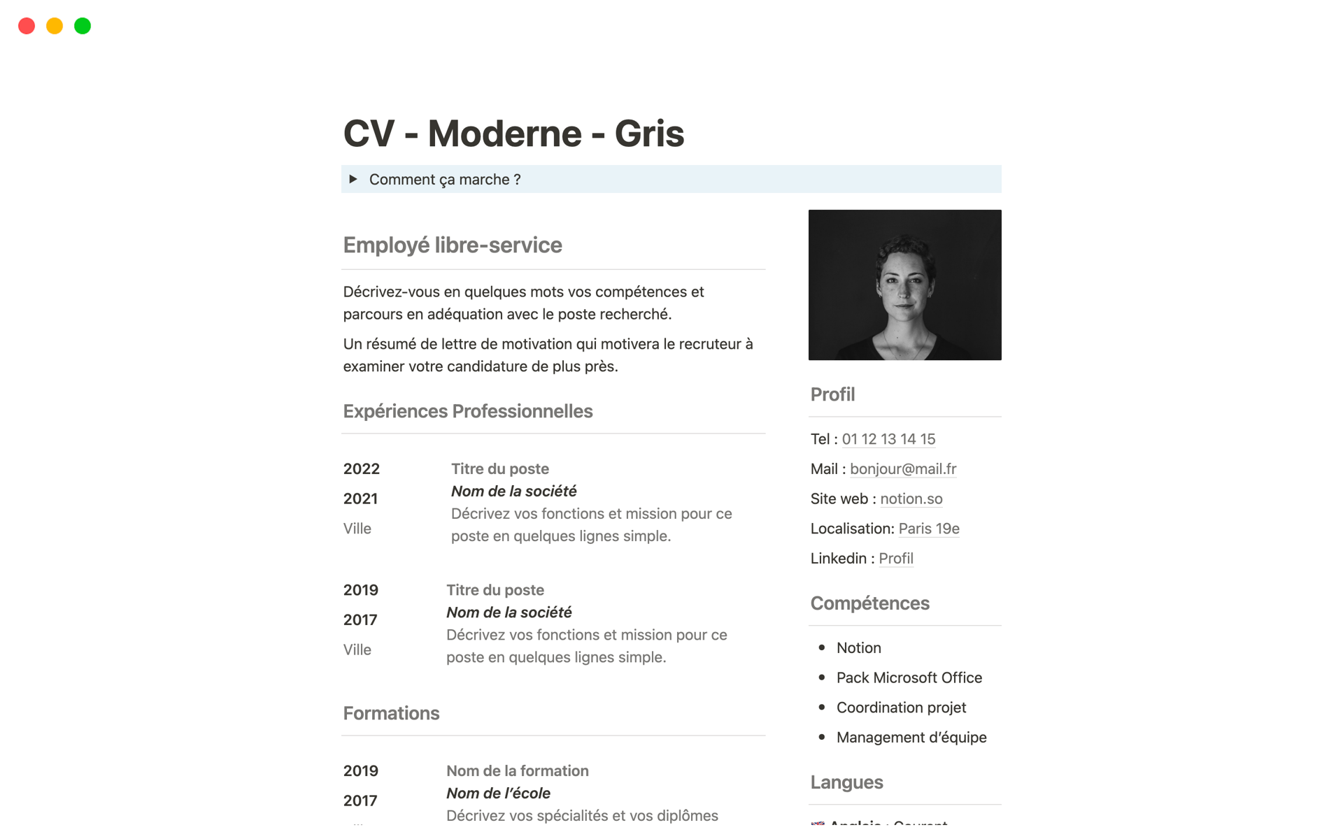 CV - Moderne - Grisのテンプレートのプレビュー