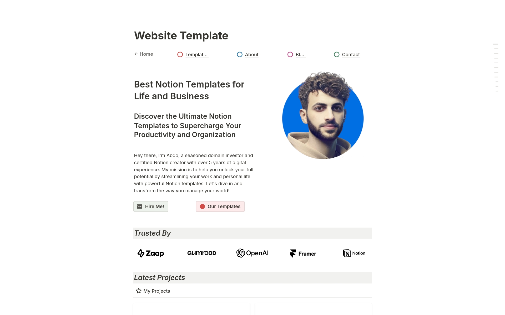A template preview for Professional website