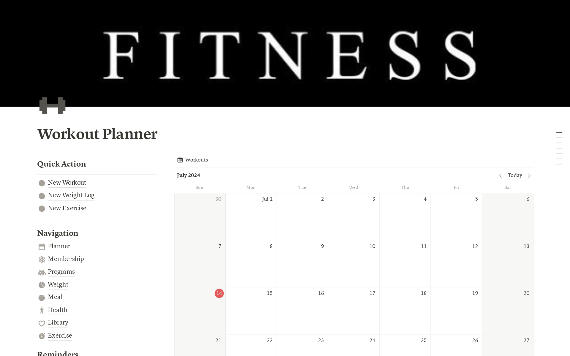 A template preview for Professional Workout Tracker 