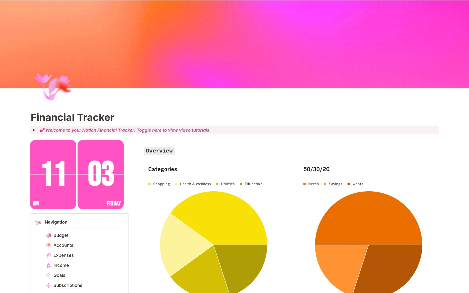A template preview for Bright Pink Financial Tracker