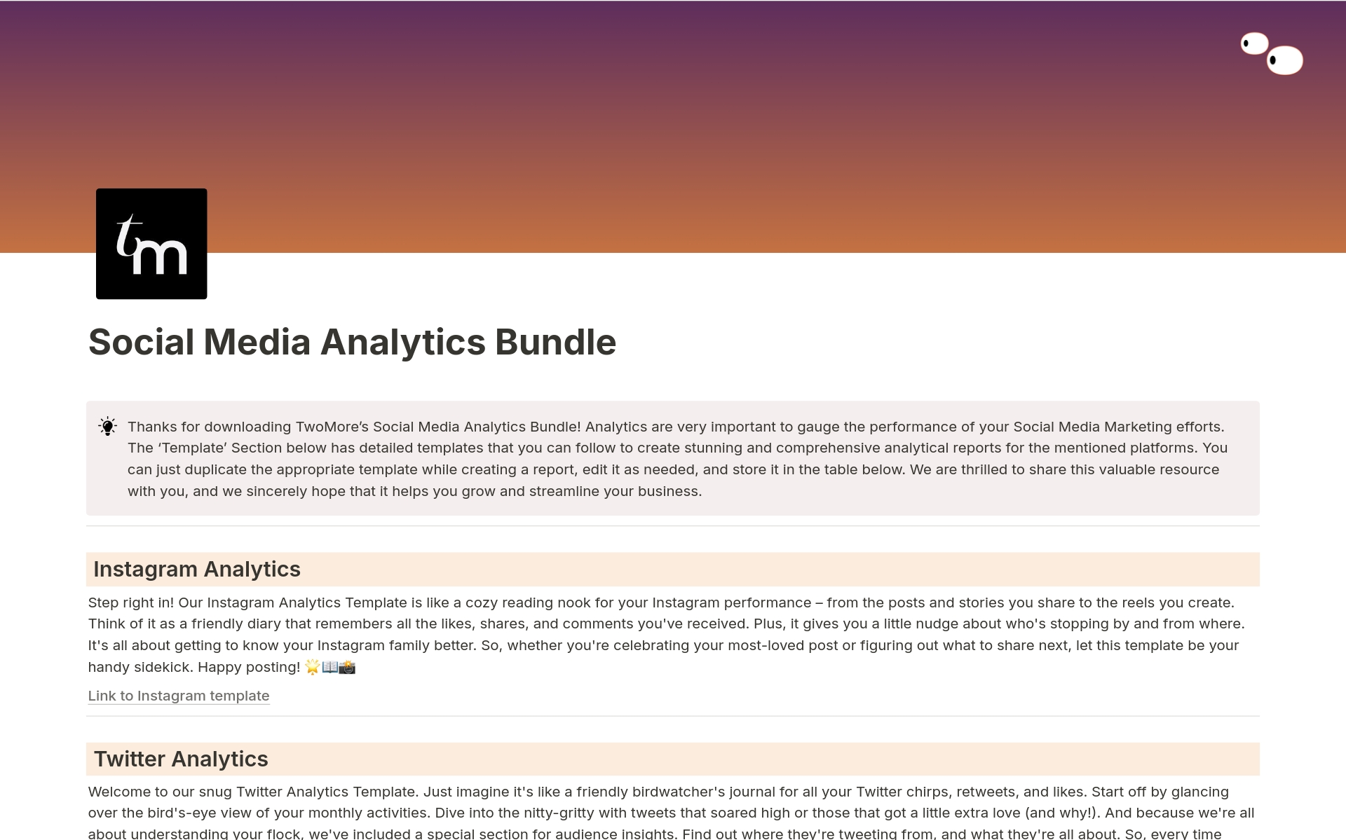 Vista previa de una plantilla para Social Media Analytics Kit