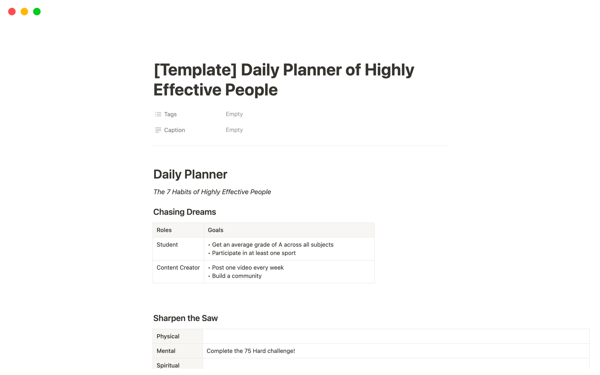 Vista previa de una plantilla para Daily Planner of Highly Effective People