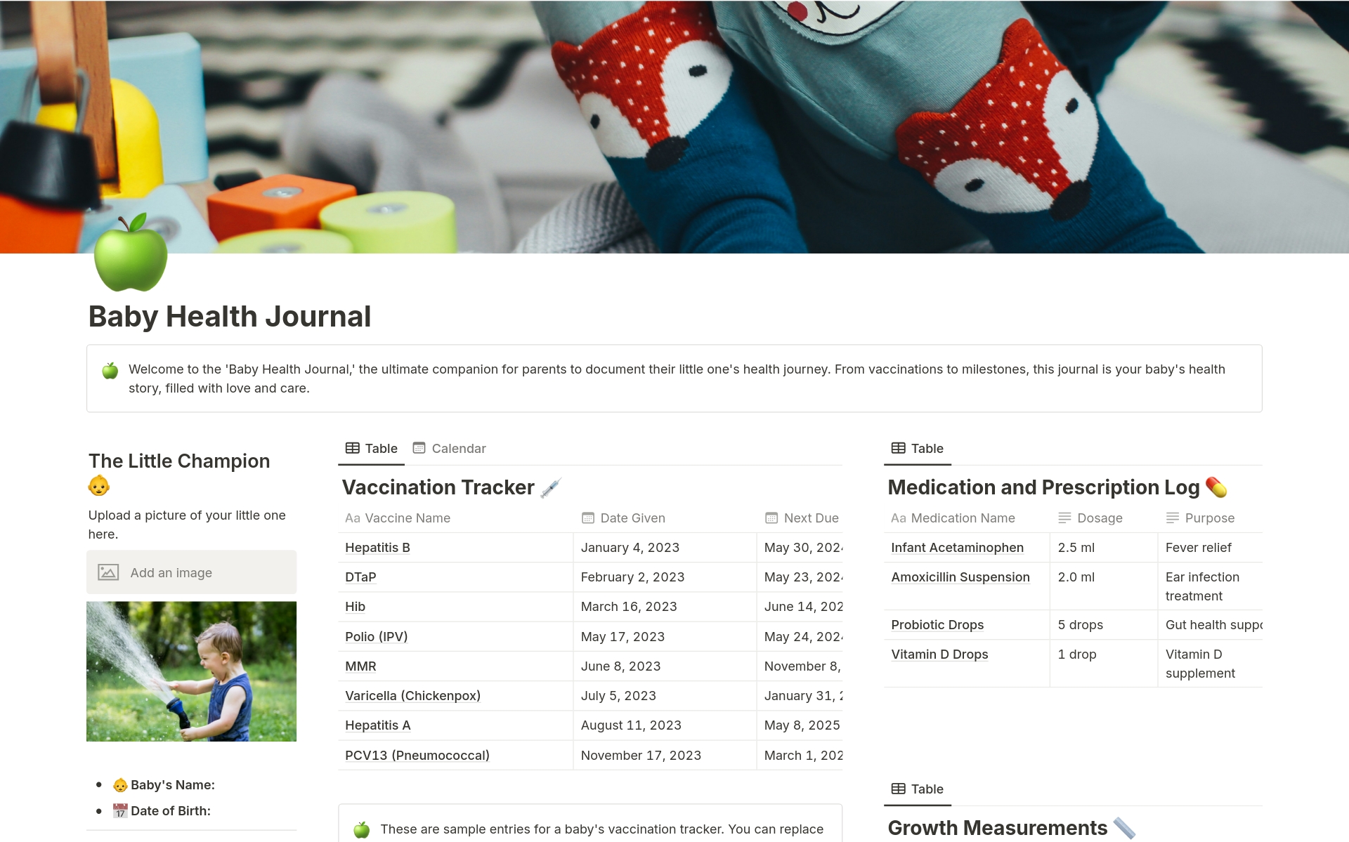 Explore our Notion Baby Health Journal Template: Includes sections for baby profiles, vaccination records, doctor visits, medication logs, and growth tracking. Designed for parents seeking an organized approach to monitoring their baby's health and development milestones.