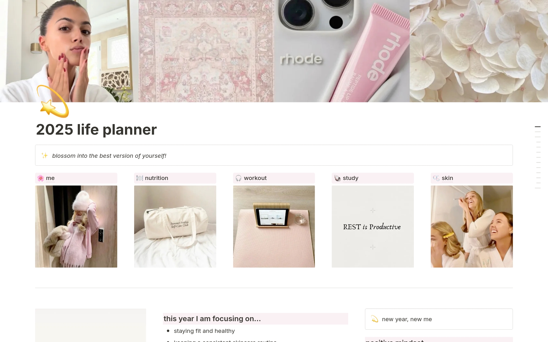 Life Planner Pink Template Notion Marketplace