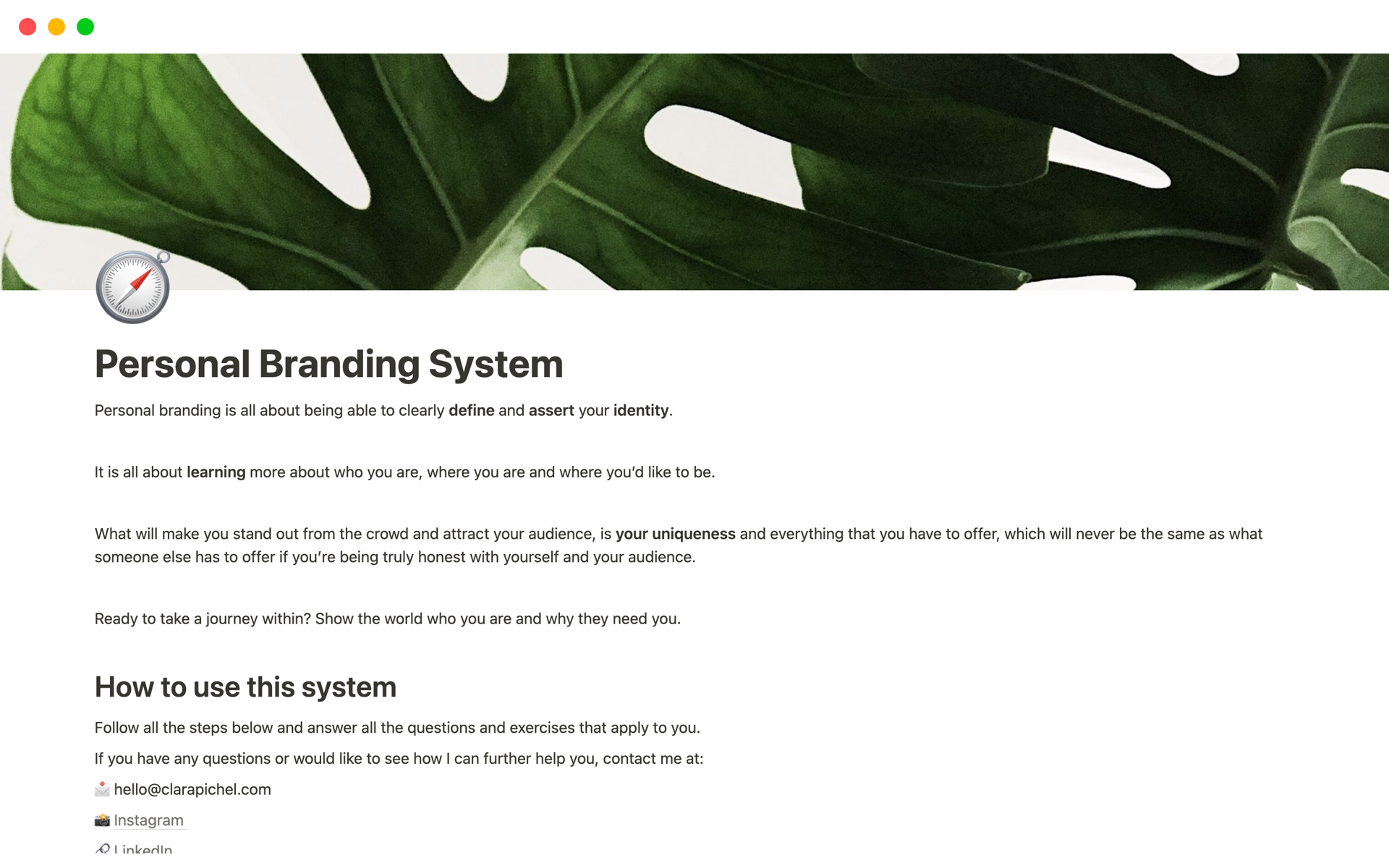 Aperçu du modèle de Personal Branding System 