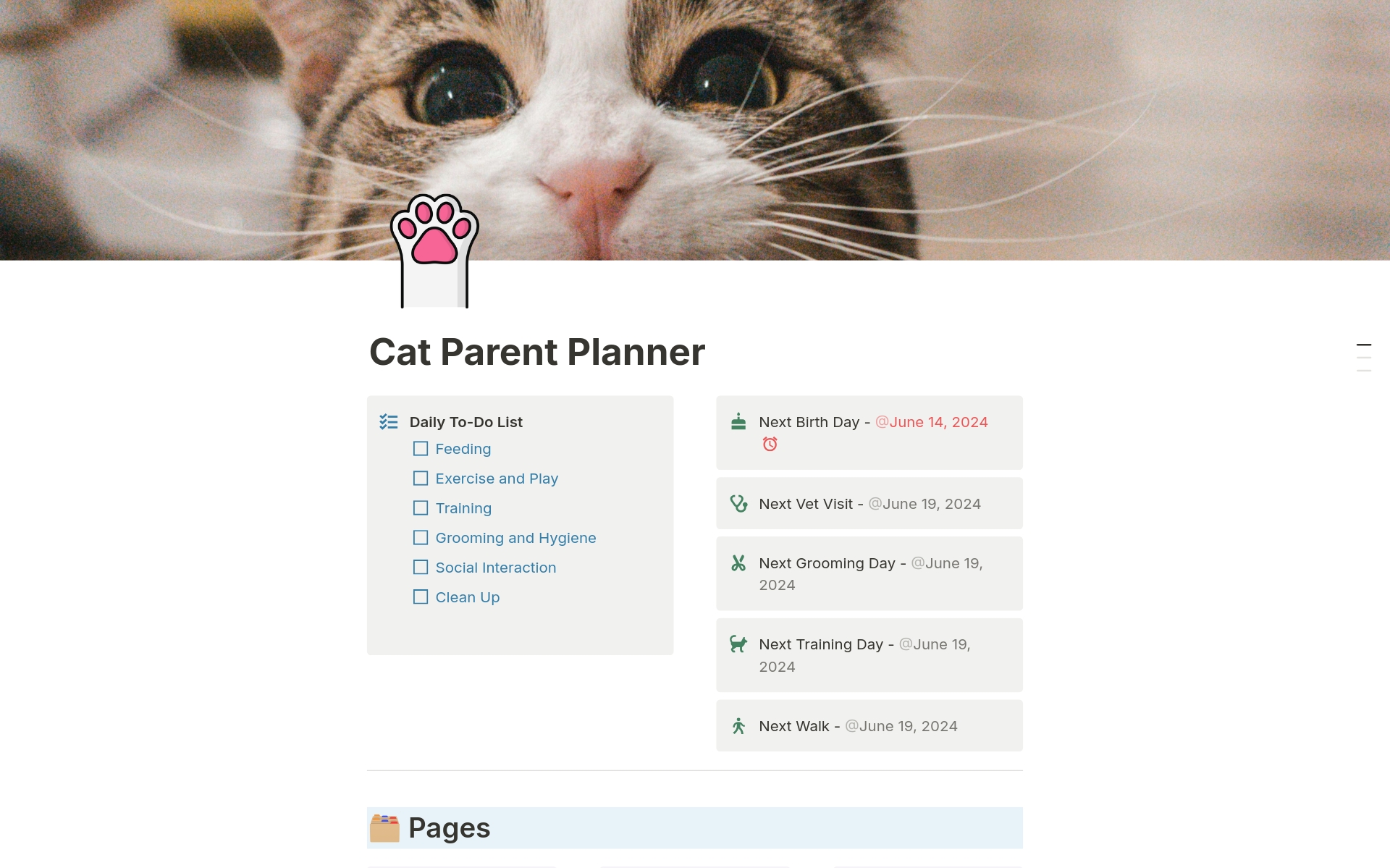 Elevate your cat care routine with our comprehensive Notion template, designed to organize every aspect of your cat’s life from health and training to travel and expenses. Perfect for both new and seasoned cat owners.