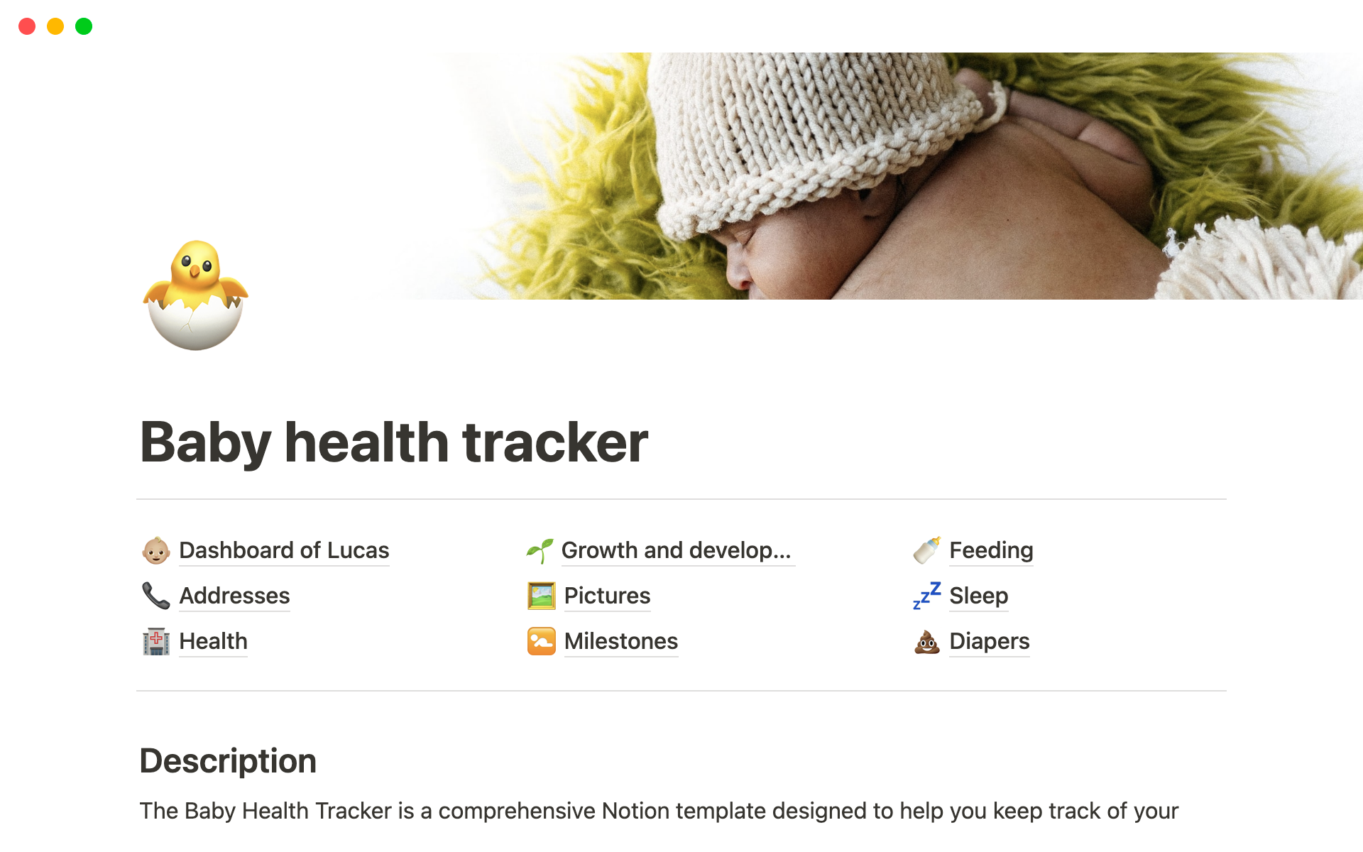 En förhandsgranskning av mallen för Baby health tracker
