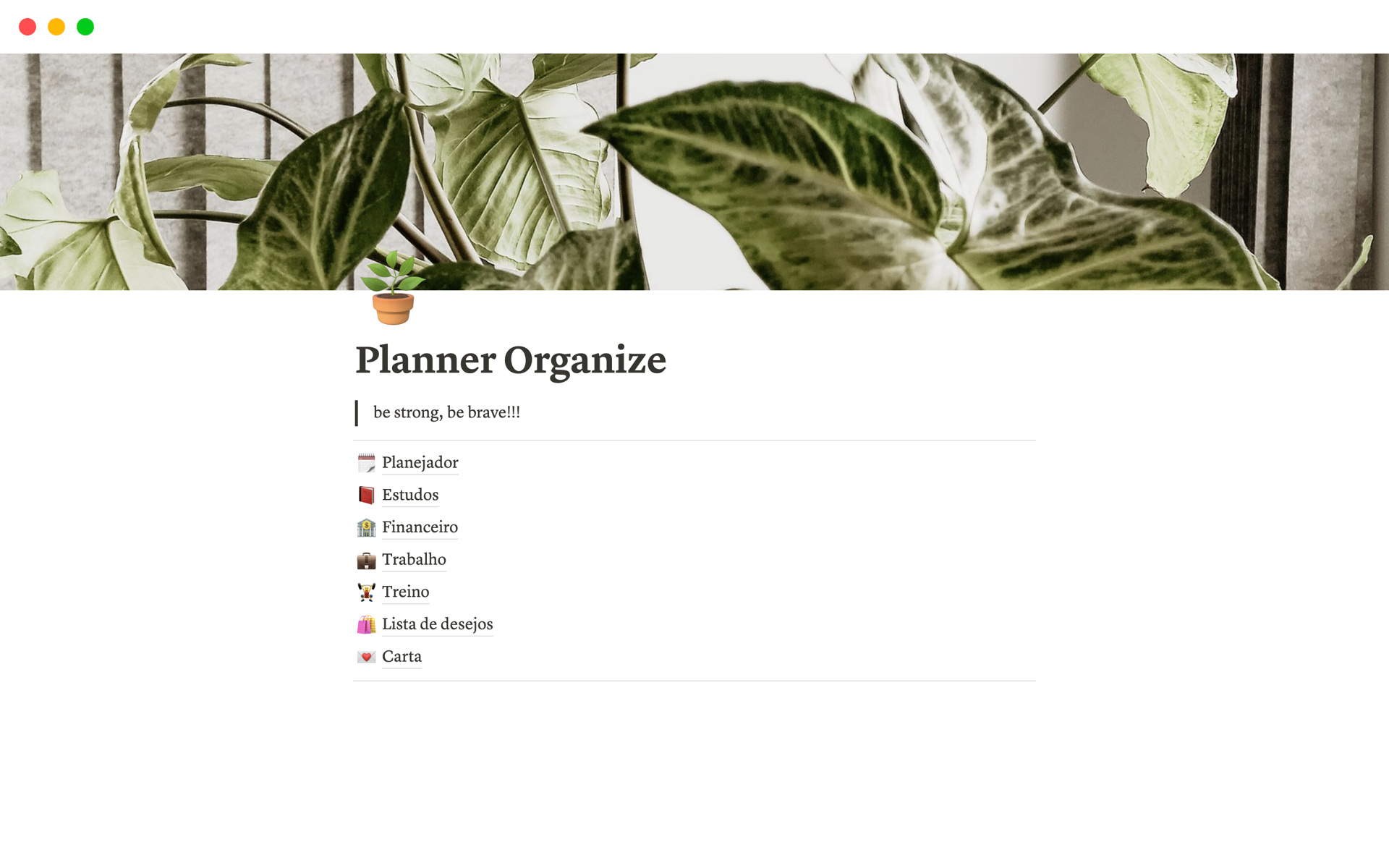 A template preview for Planner Organizer