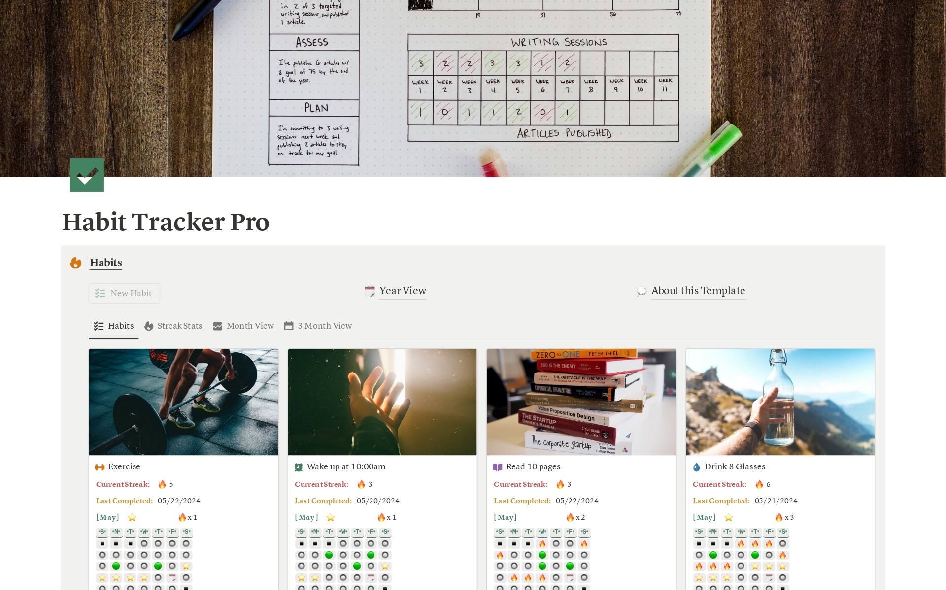 A template preview for Habit Tracker Pro