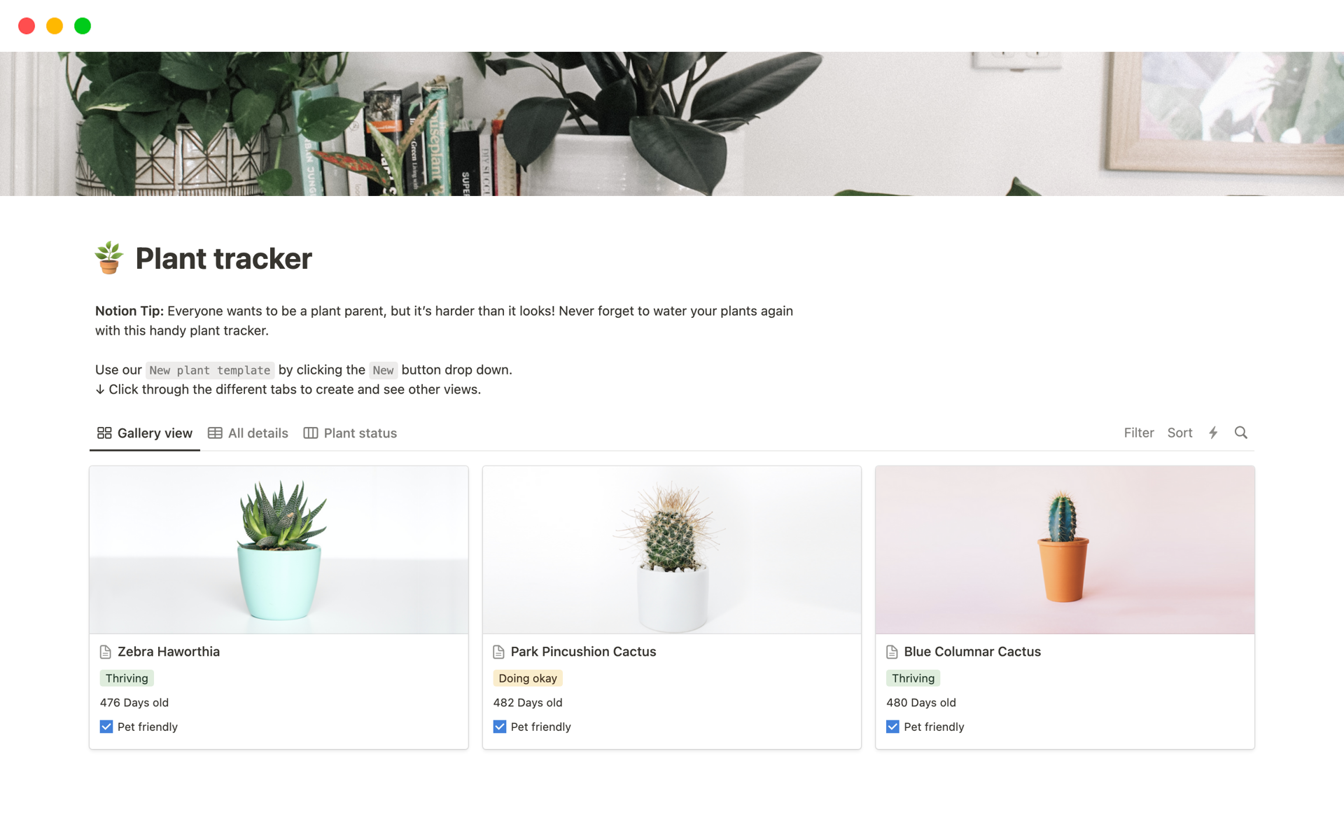 A plant tracker Notion template serves as a tool for plant enthusiasts