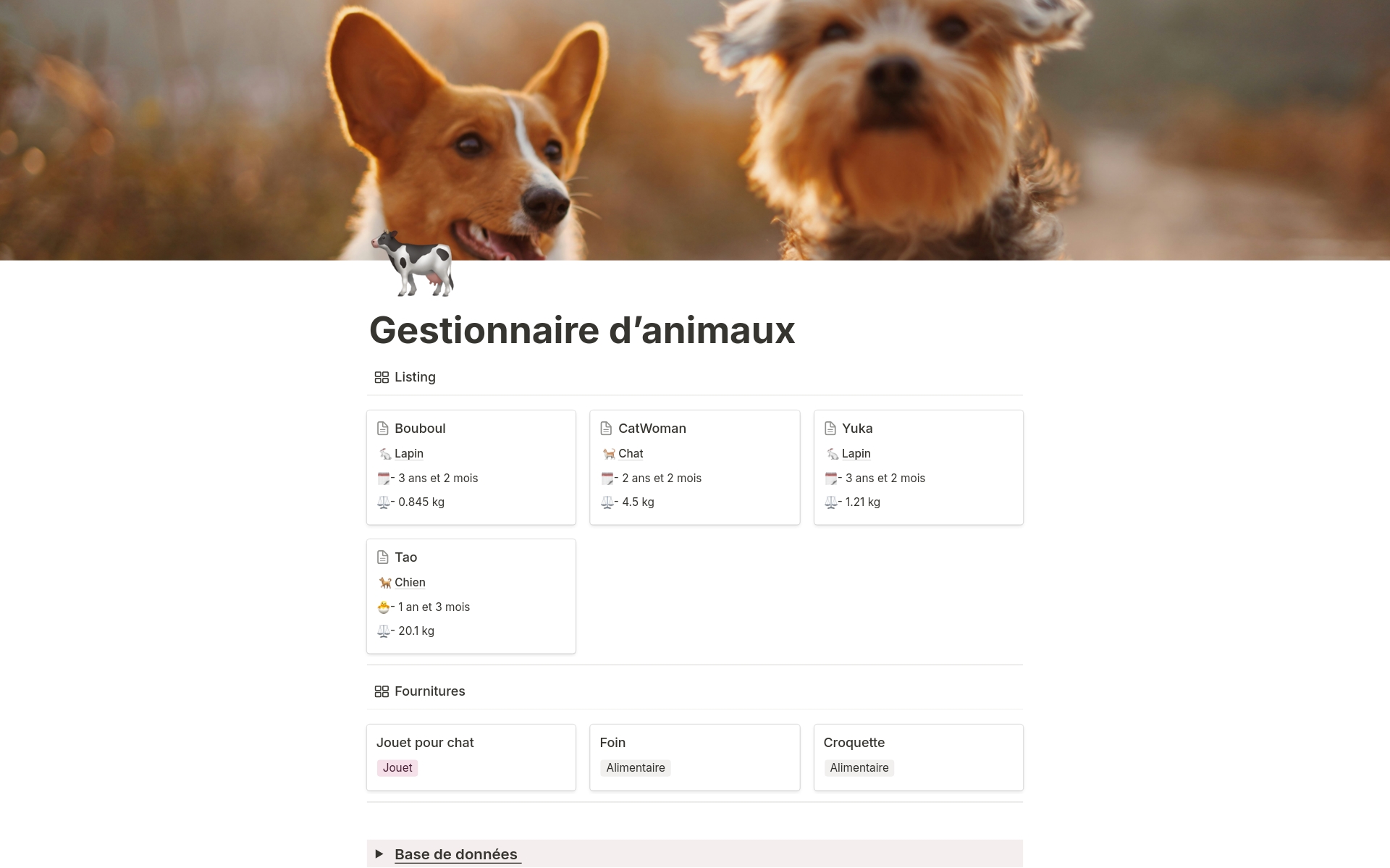 A template preview for Gestionnaire d'animaux