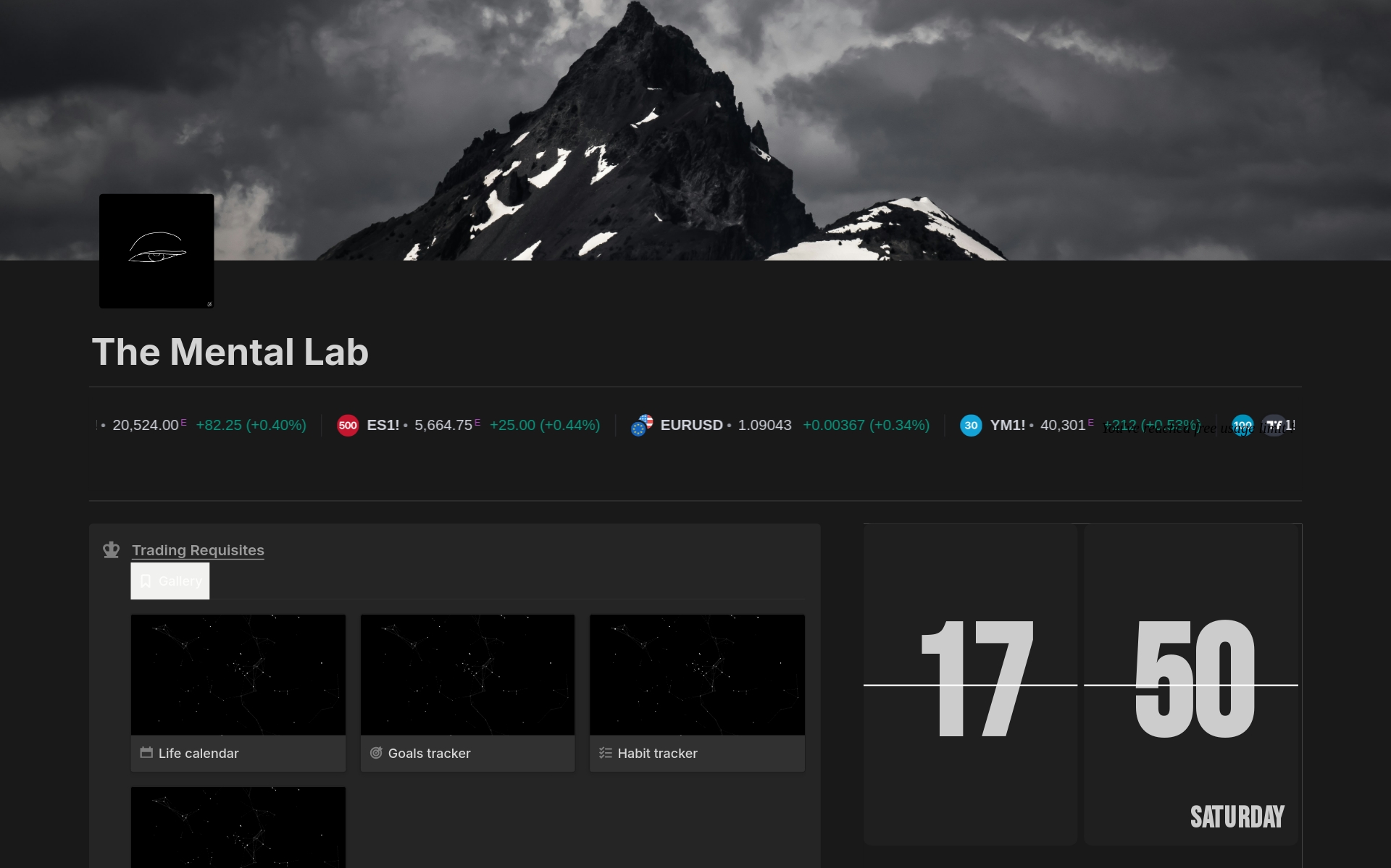 A template preview for Trading Workspace | Mental Lab