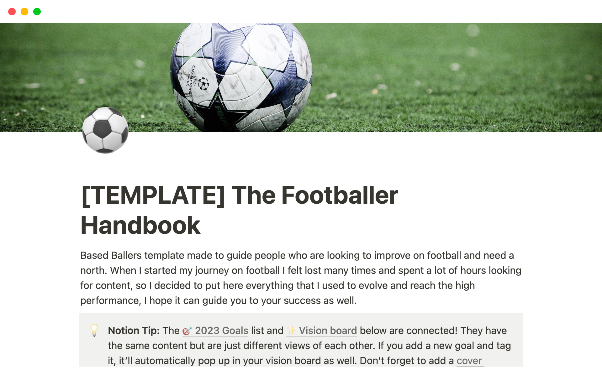 A template preview for The Footballer Handbook
