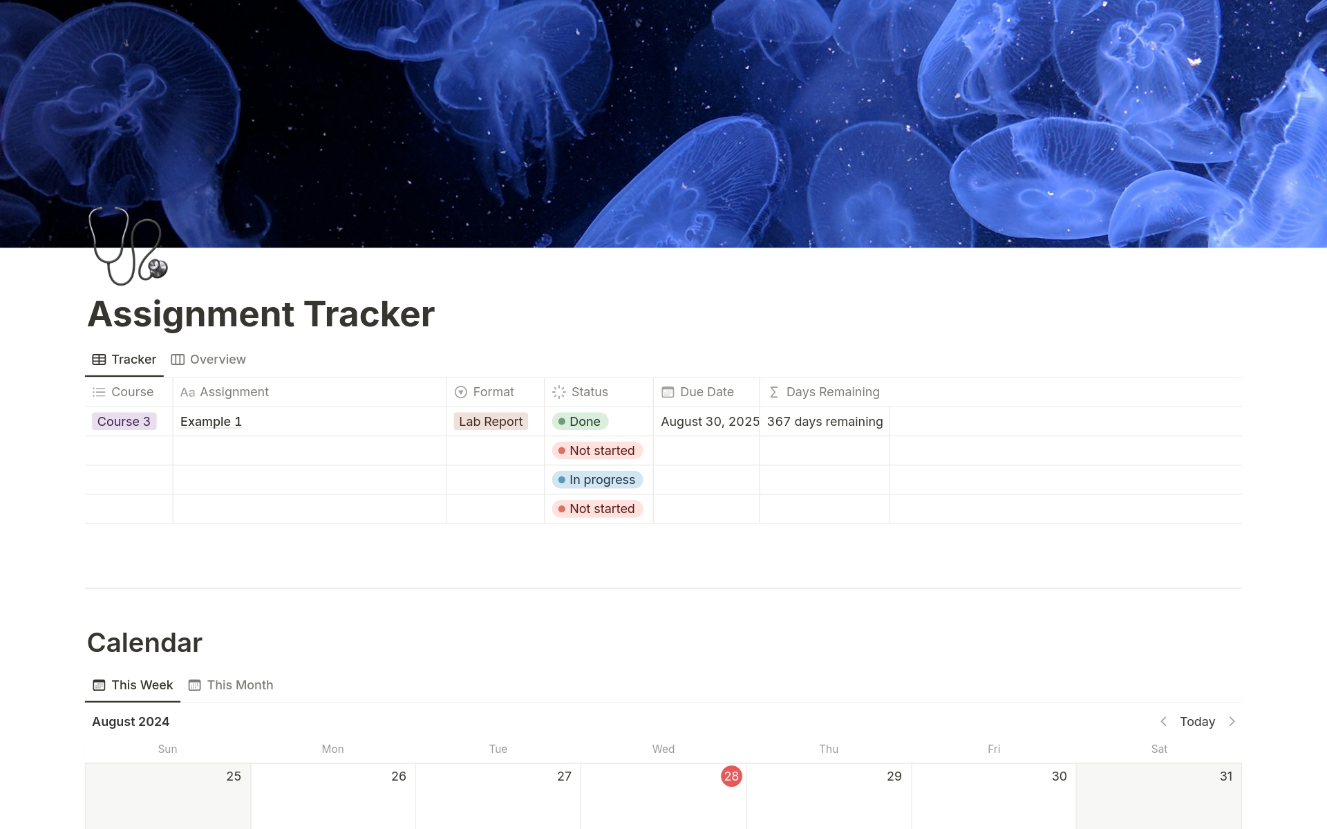 A template preview for Assignment Tracker