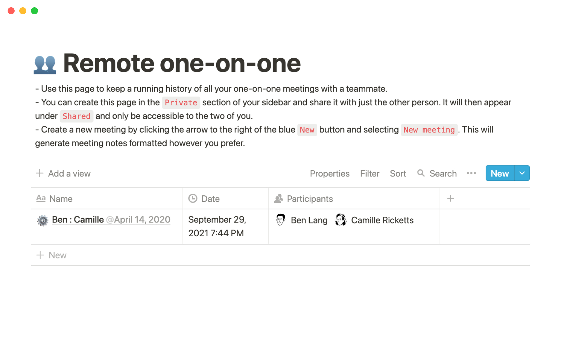 A template preview for Remote one-on-one