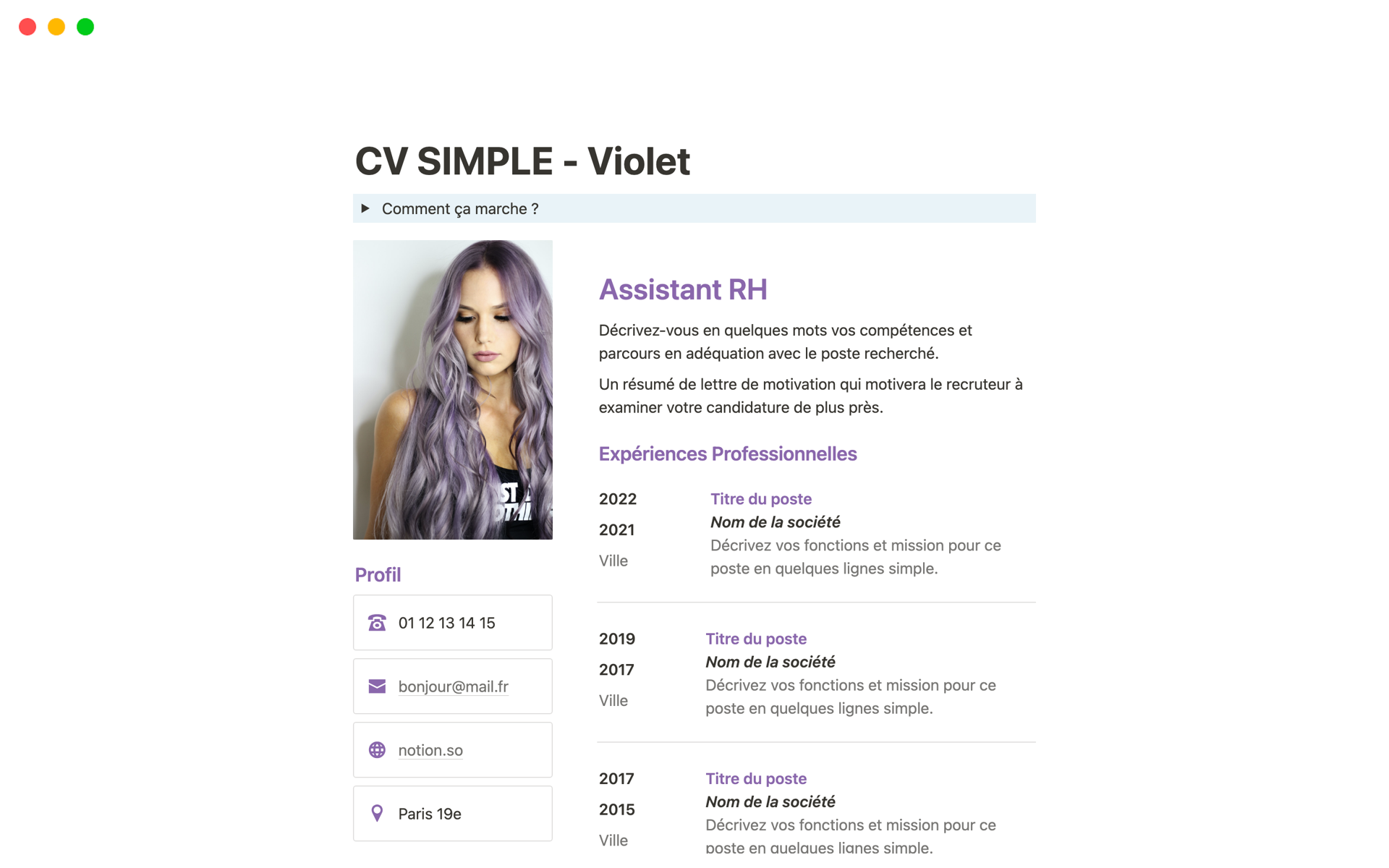 En förhandsgranskning av mallen för CV SIMPLE - Violet