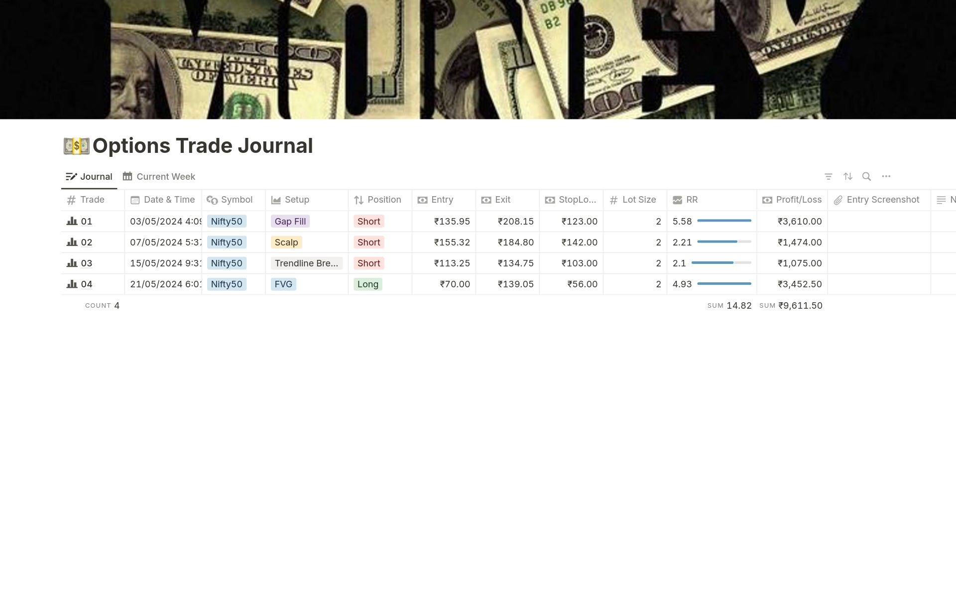 A template preview for Options Trade Journal (Basic Version)