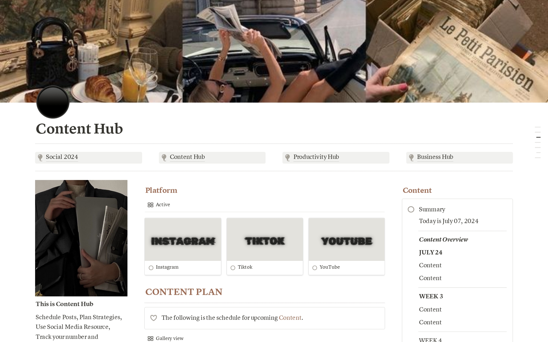A template preview for Professional Content Hub