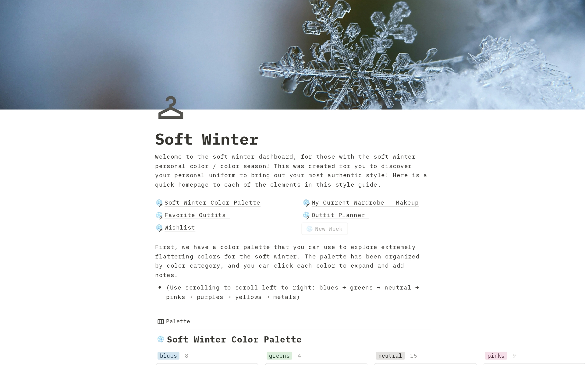 A template preview for Soft Winter Seasonal Color Style Guide