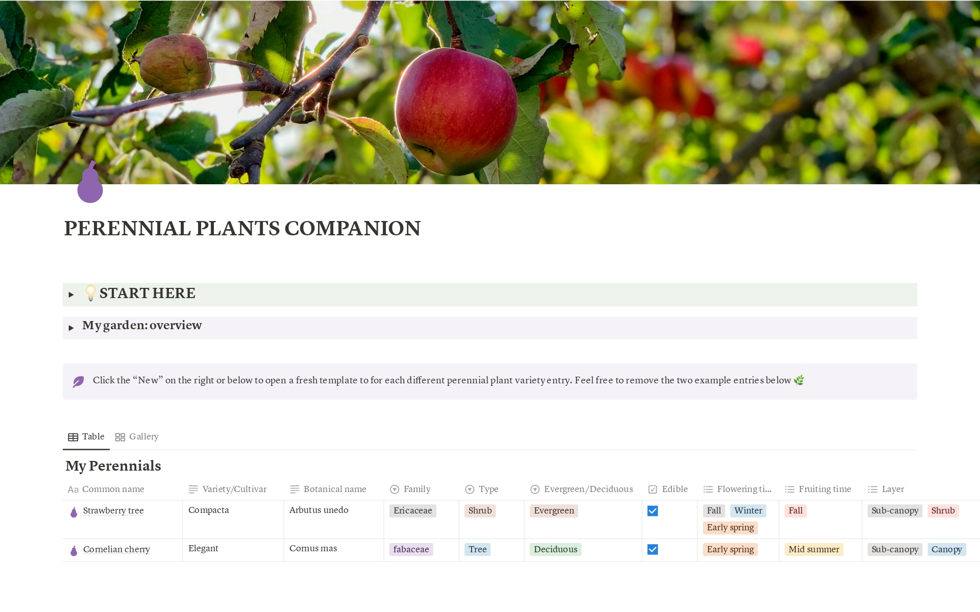 En forhåndsvisning av mal for Perennial Plants Garden Companion