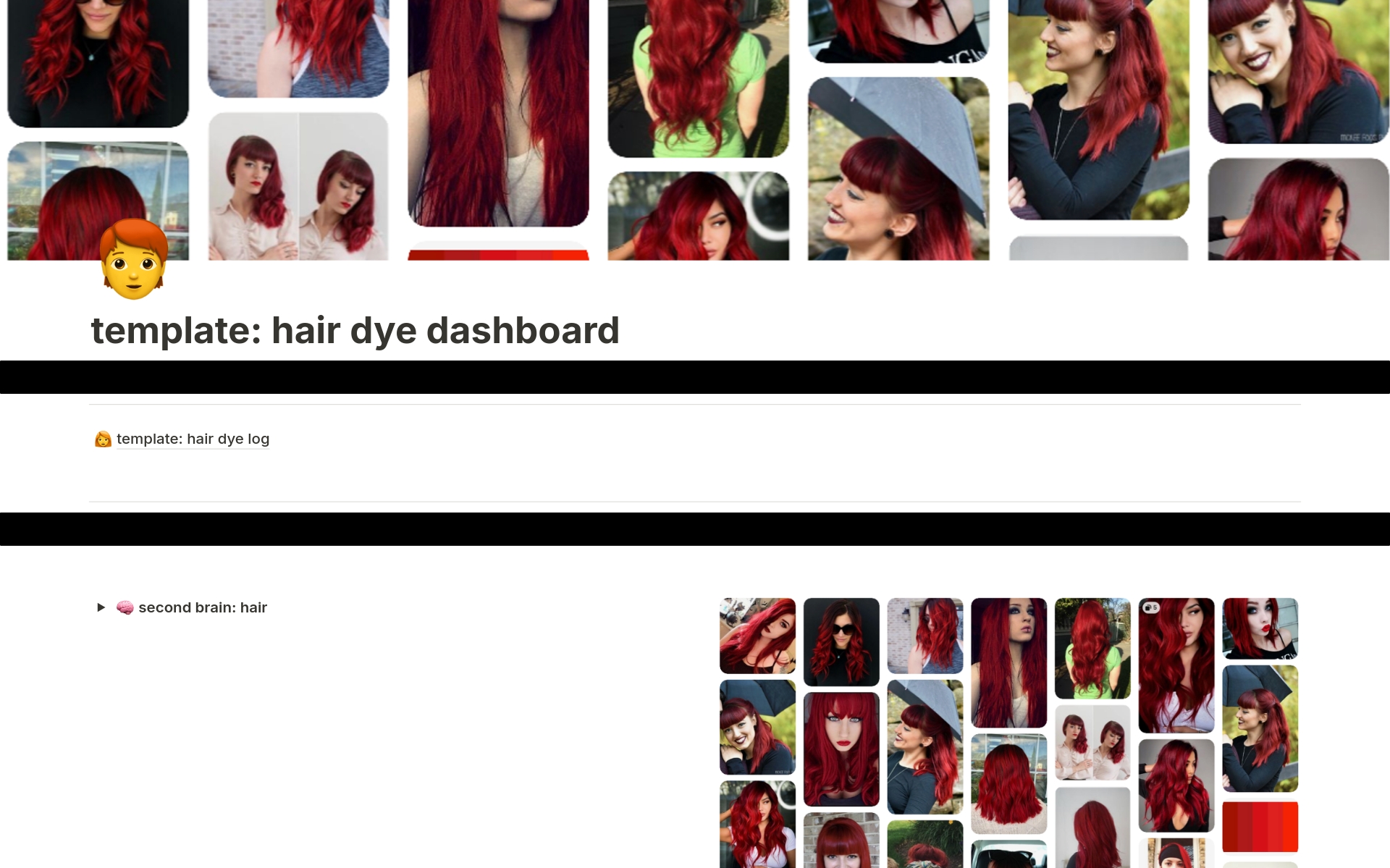 A template preview for Hair Dye Tracker & Gallery Dashboard