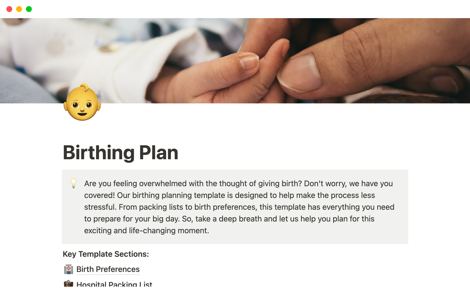 This digital guide offers expecting mothers a personalized birthing plan, a hospital bag checklist, an emergency contacts list, and a soothing music playlist for a smooth journey to motherhood.
