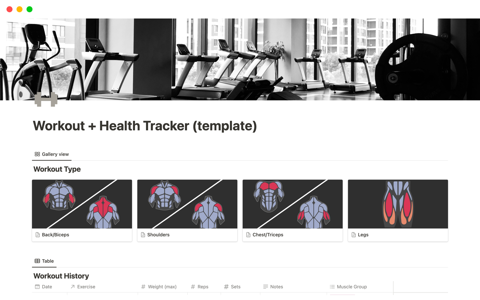 Uma prévia do modelo para Workout and Health Tracker