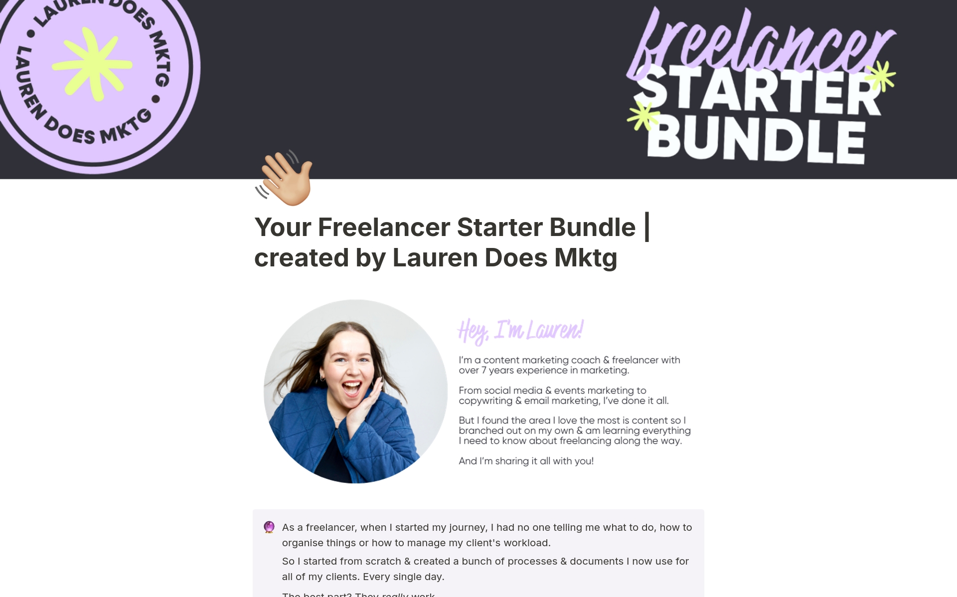 A template preview for Freelancer Starter Bundle