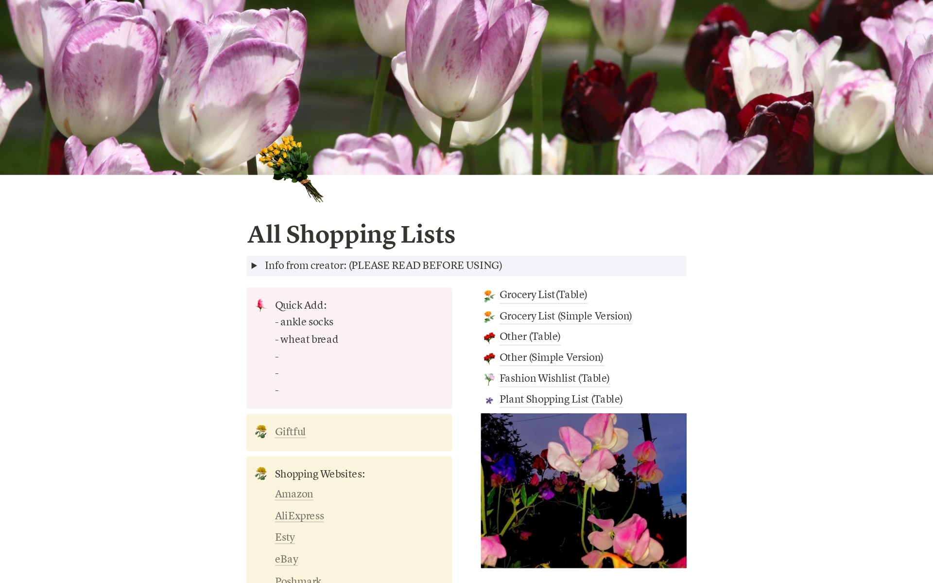 A template preview for All Shopping Lists
