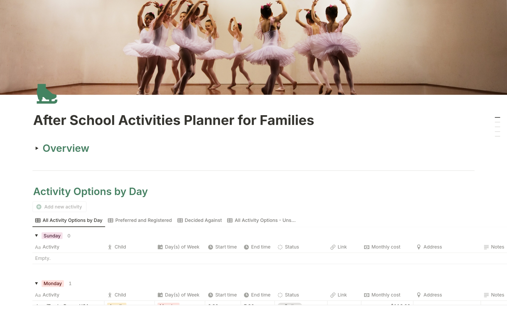 A template preview for After School Activities Planner for Families