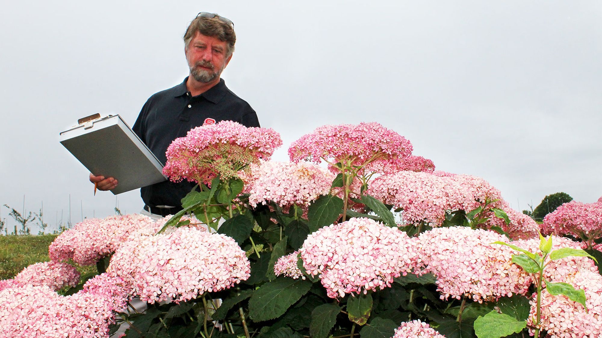 NC State Plant Breeder Wins Prestigious Scott Medal