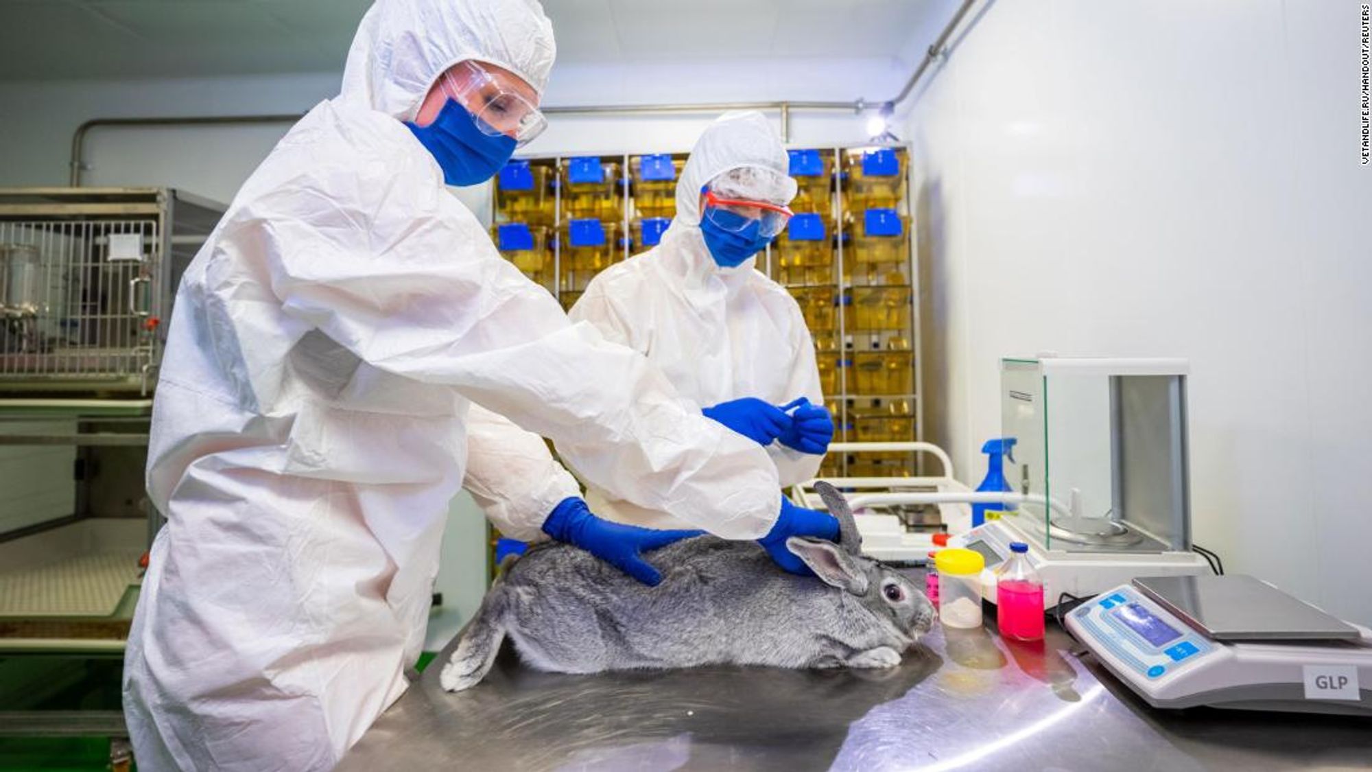 Russia registers world's first Covid-19 vaccine for animals