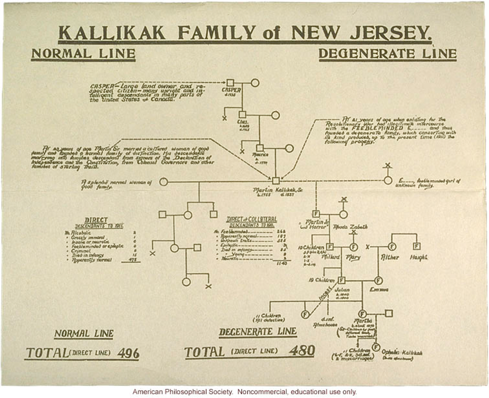 L’arbre généalogique de la famille Kallikak, publié en 1912, qui prétend expliquer que l’état de Déborah Kalillkak est lié à une union “immorale” il y a quatre générations.