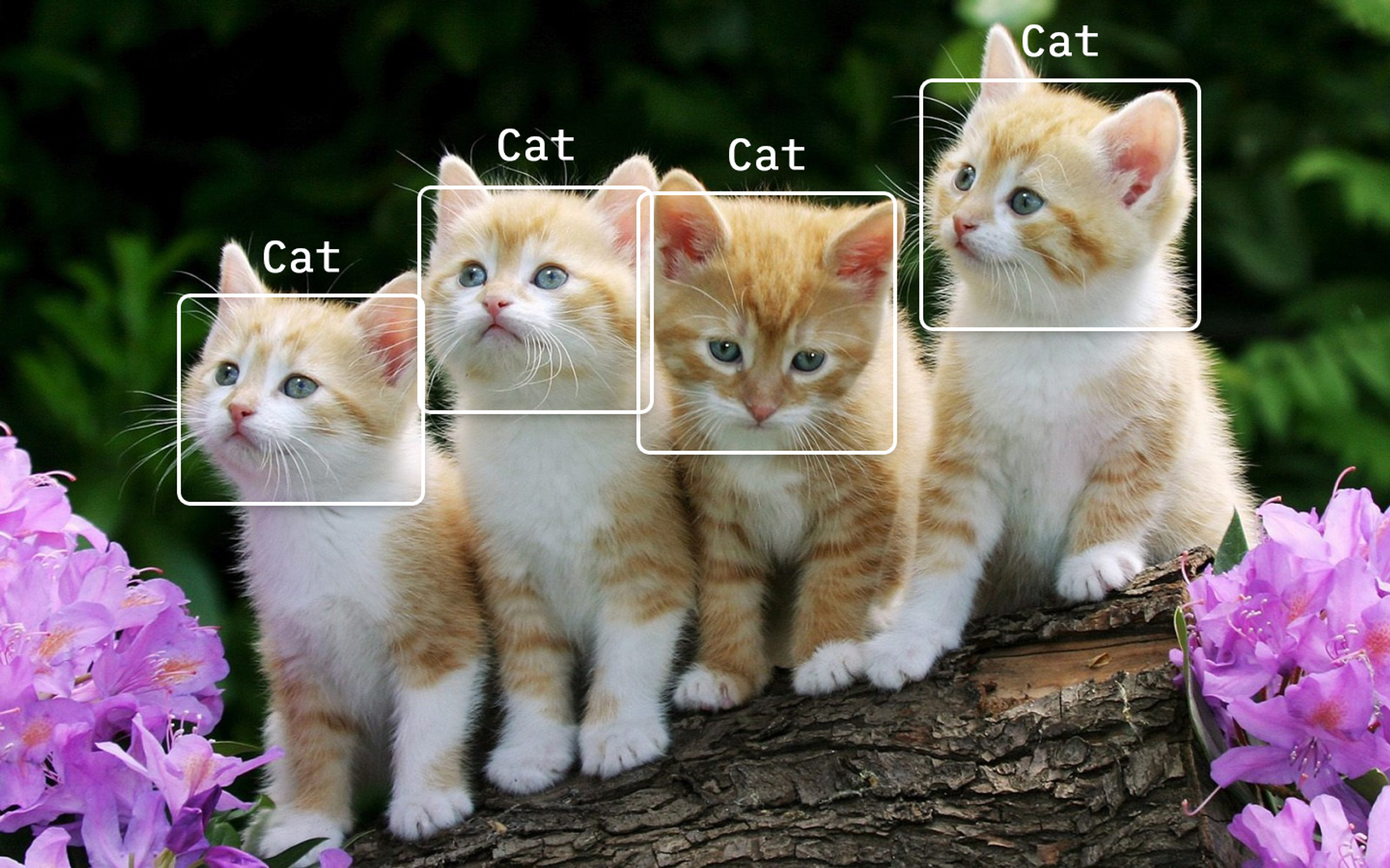 TensorFlow.js - Real-Time Object Detection in 10 Lines of Code | Hacker Noon