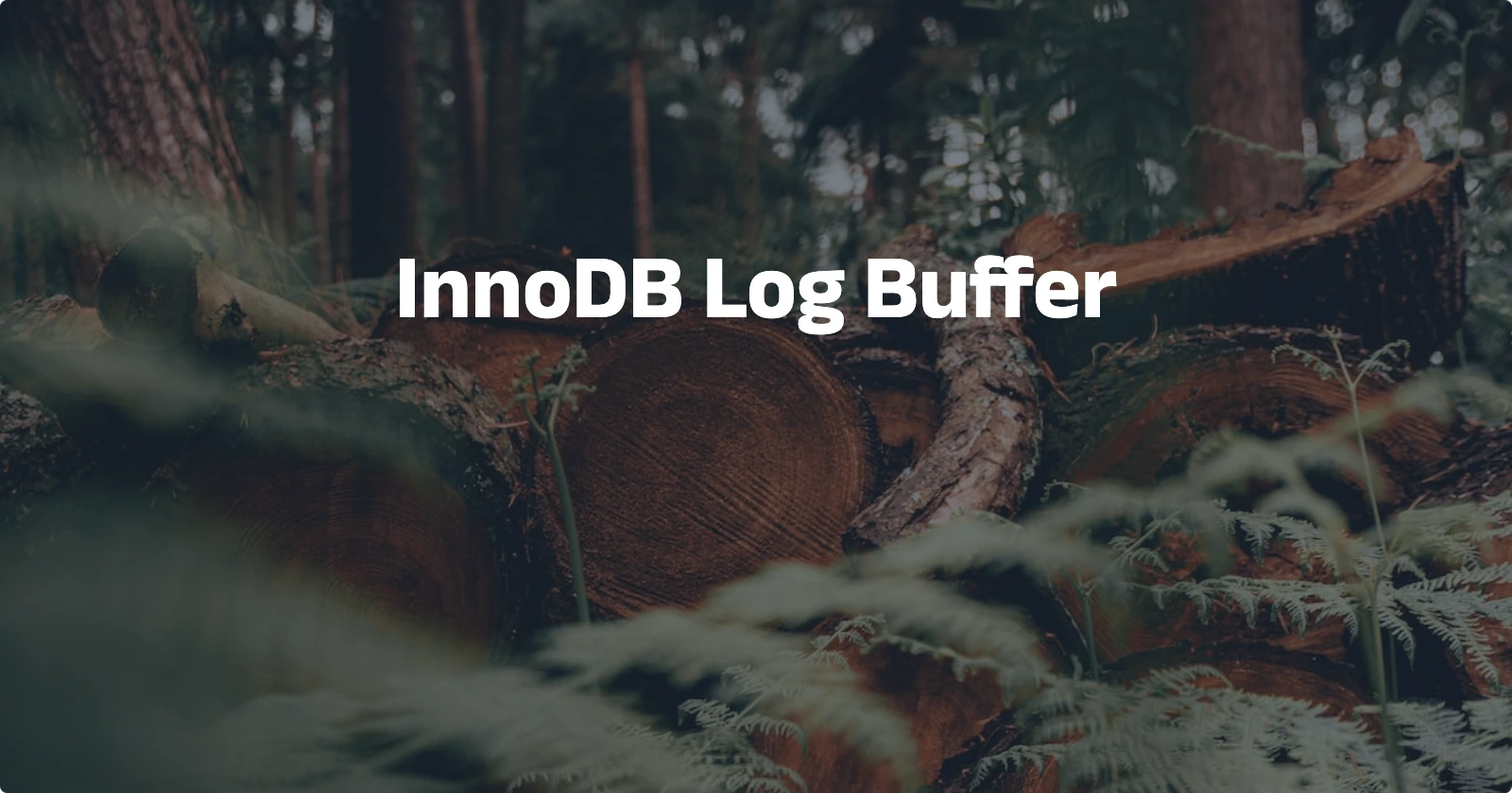 Day62【概念解析】InnoDB Log Buffer | 易浅小站