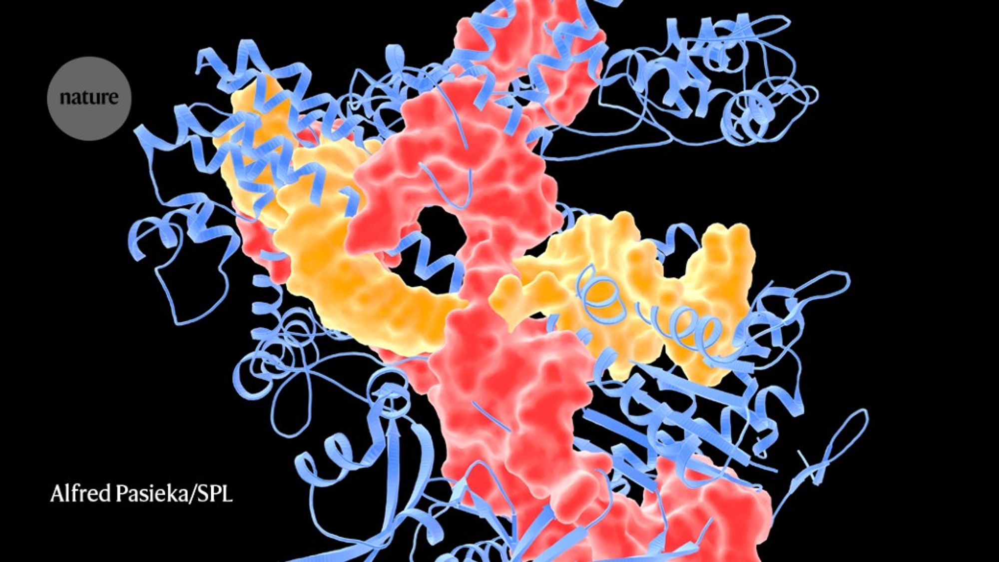 CRISPR cancer trial success paves the way for personalized treatments