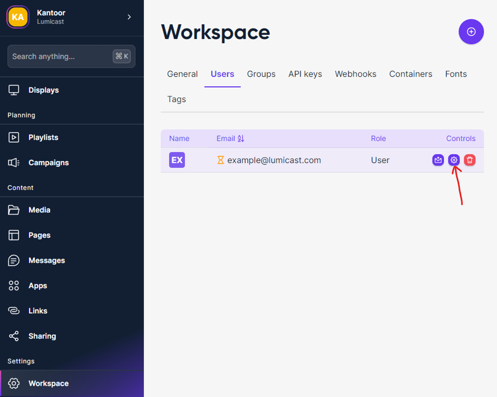 Lumicast workspace users