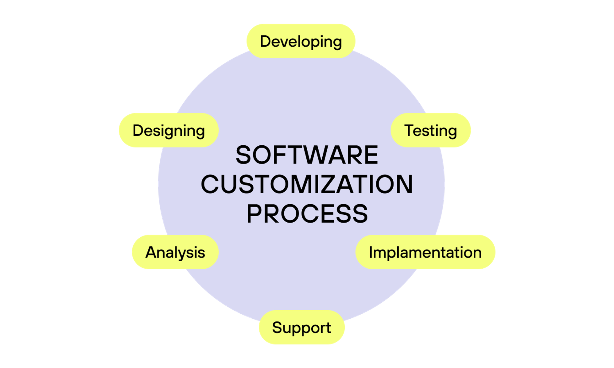 software customization process